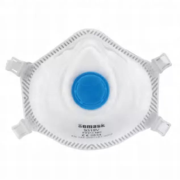 9319V Disposable Face Mask