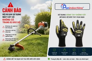 Máy Cắt Cỏ Gia Đình Những Điều Nhiều Người Thường Bỏ Qua Khi Sử Dụng ; Thiết Bị Tiện Lợi Nhưng Cần Đảm Bảo An Toàn
