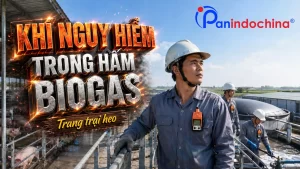 Khí nguy hiểm trong hầm biogas trang trại heo có thể gây ngộ độc, ngạt thở, cháy nổ và đe dọa trực tiếp đến tính mạng người lao động